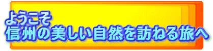 ようこそ
信州の美しい自然を訪ねる旅へ