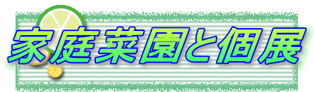 家庭菜園と個展